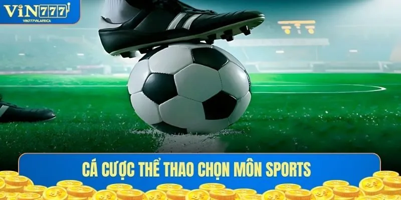 Cá cược thể thao chọn môn sports Vin777